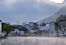 云南山茶叶有限公司优质茶叶推荐